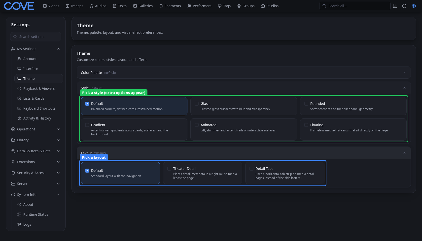 Theme settings showing style, layout, and visual effect controls