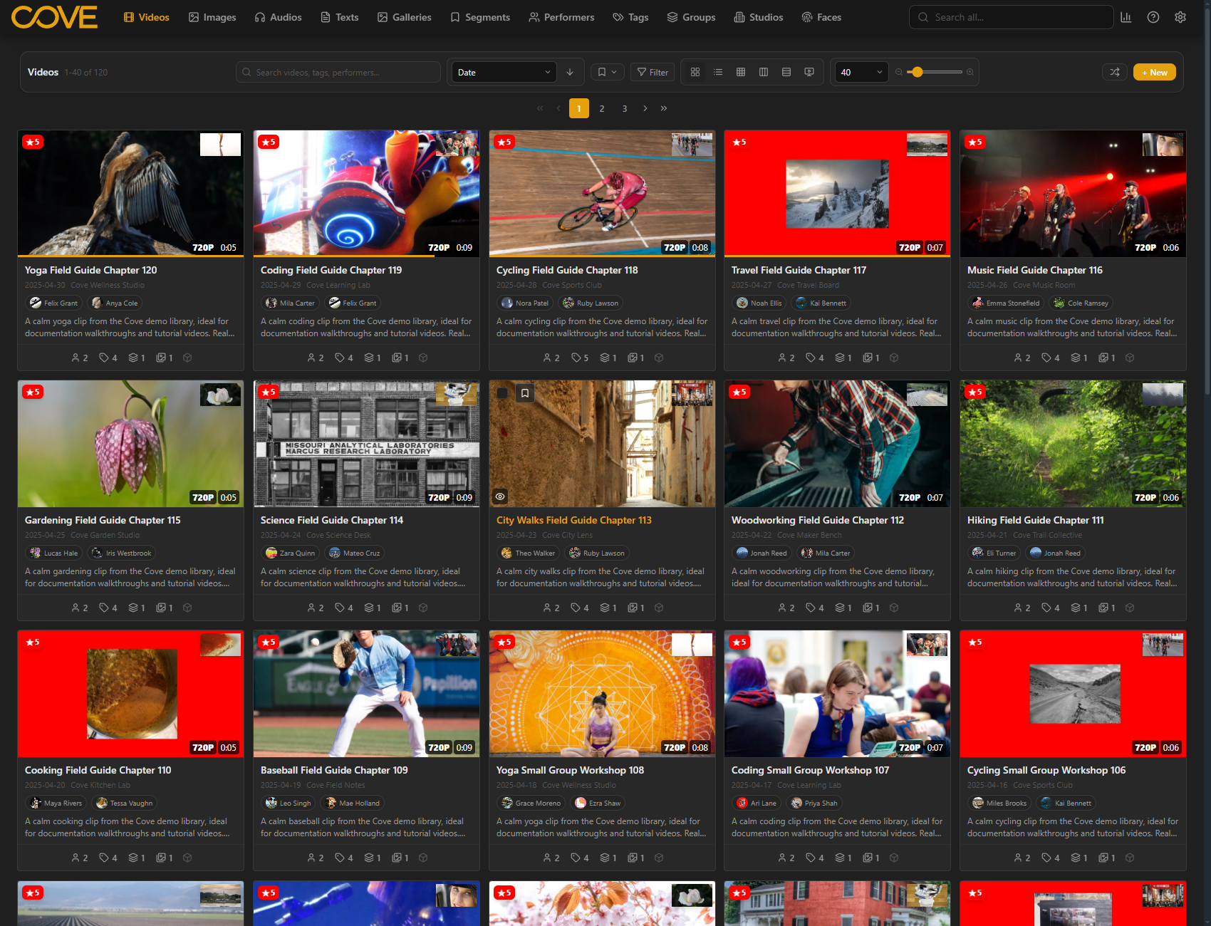 Cove videos page using the golden hour theme.