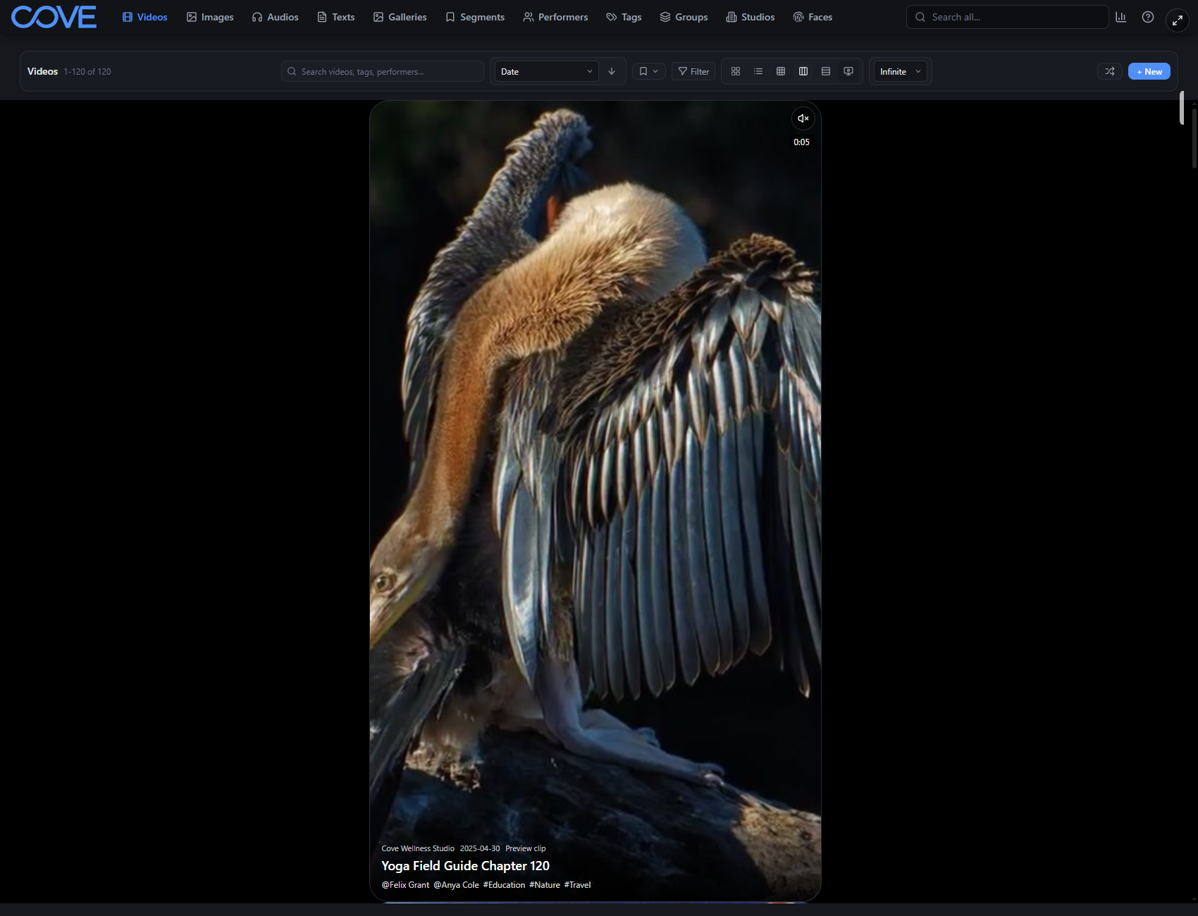 Cove vertical viewing mode for videos.